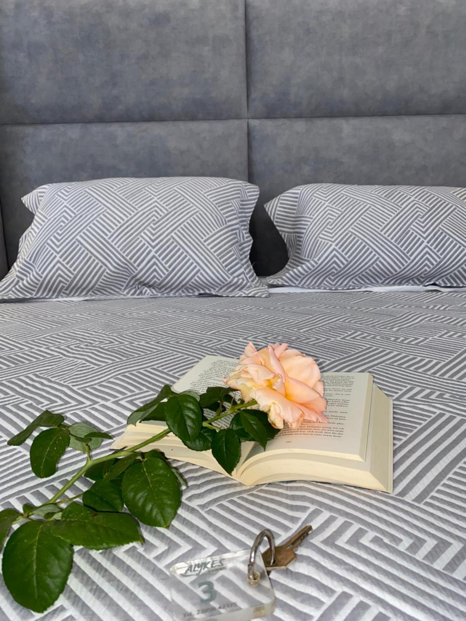 Alykes Studios & Suites Agios Prokopios  Exteriér fotografie